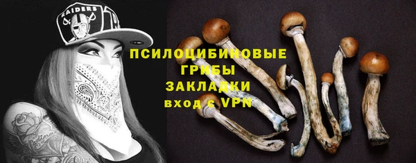 гидра Сатка