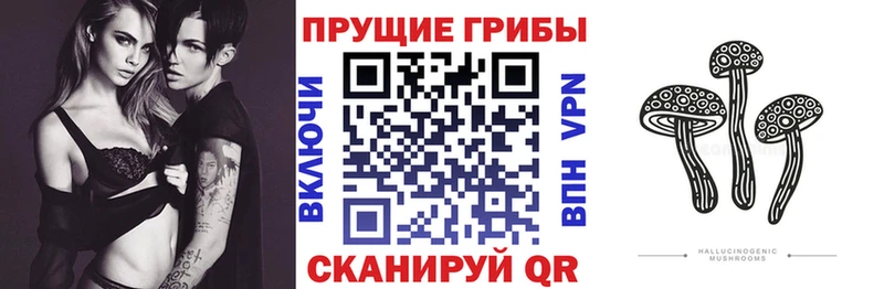 shop телеграм  Нижние Серги  Псилоцибиновые грибы Psilocybine cubensis 